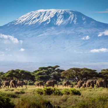 Afrique